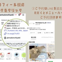 画像3147