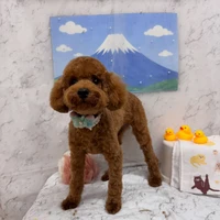画像3198