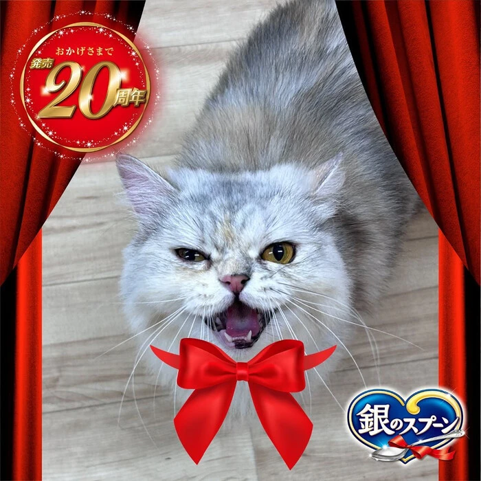 画像322