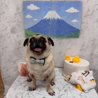 画像3224