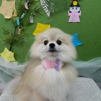 画像3237
