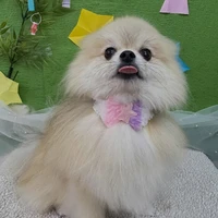 画像3238