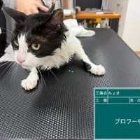 画像3281