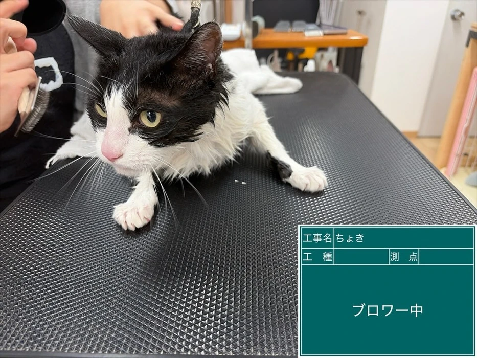 画像3281
