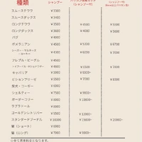 画像3290