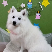 画像3364