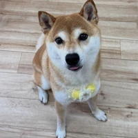 画像3373