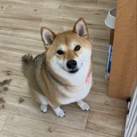 画像3397