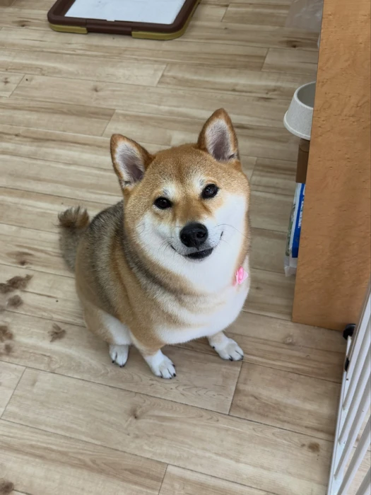 画像3397