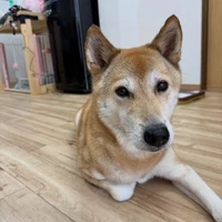 画像3437