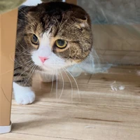 画像3449