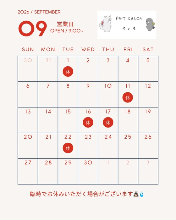画像3455