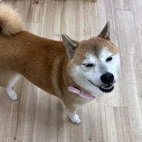 画像355
