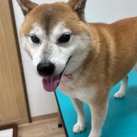 画像356