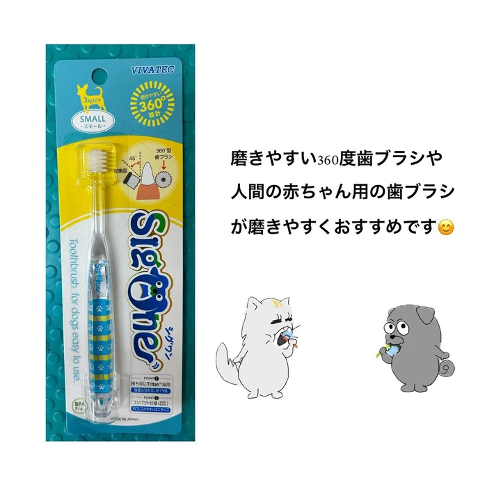 画像363