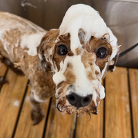 画像3905