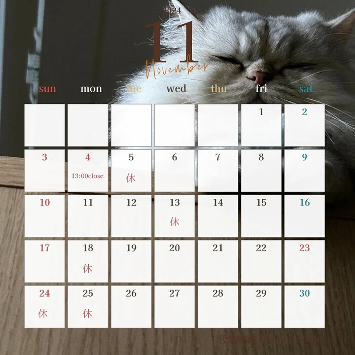 画像425