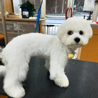 画像430