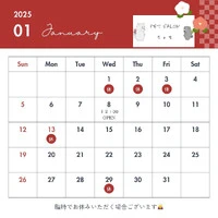 画像517