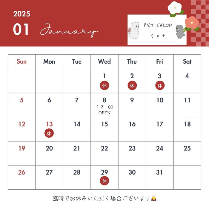 画像517