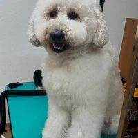 画像543