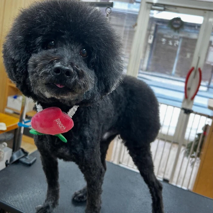 画像547