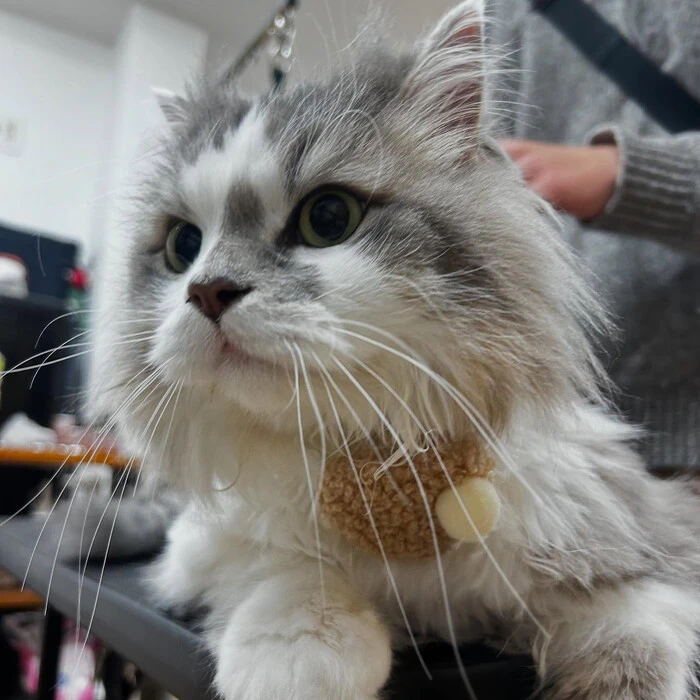 画像555