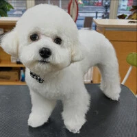 画像569