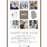 画像587
