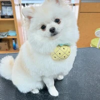 画像595