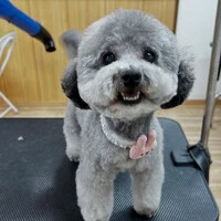 画像666
