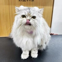 画像706