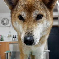 画像718