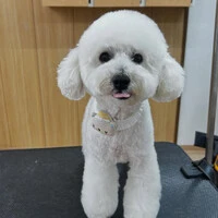 画像728