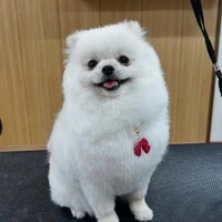 画像760