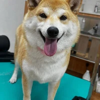 画像762