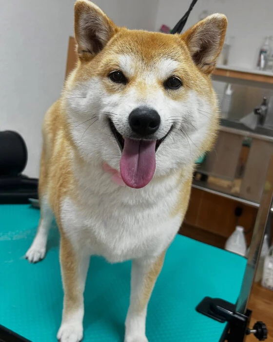 画像762