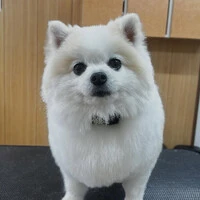 画像770