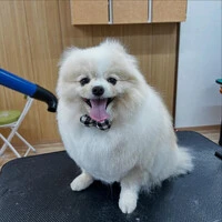 画像827