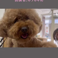 画像829