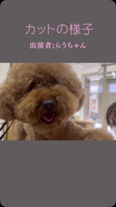 画像829