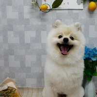 画像837