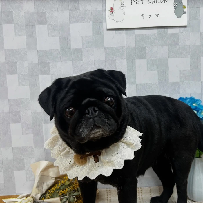 画像876