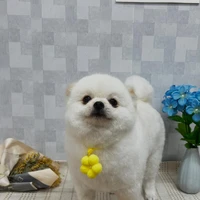 画像913