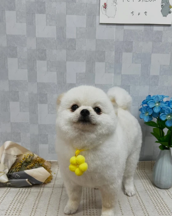 画像913