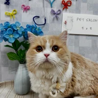 画像936