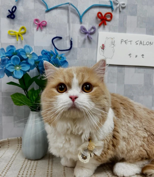 画像936