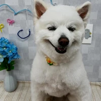 画像952