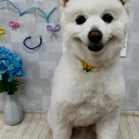画像953